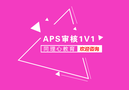 APS审核VIP一对一培训