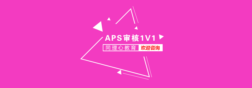 APS审核VIP一对一培训