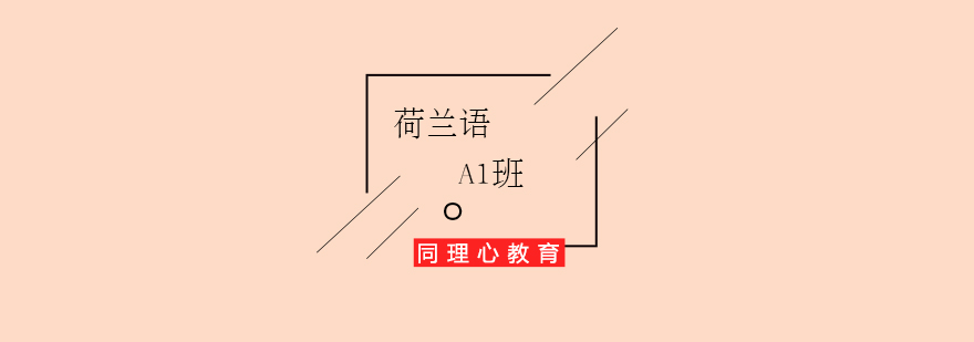 荷兰语基础课程展示