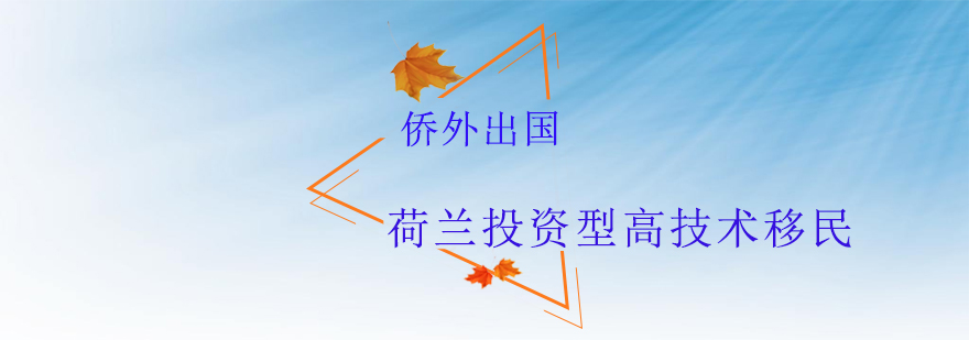 荷兰移民项目图解