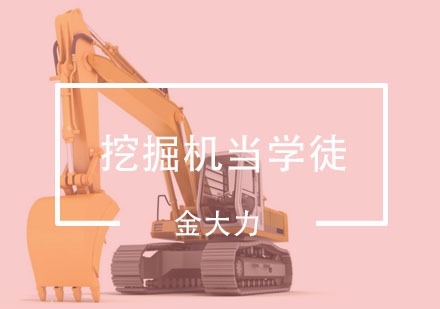 挖掘机学徒进阶指南：从新手到职业机手的蜕变之路