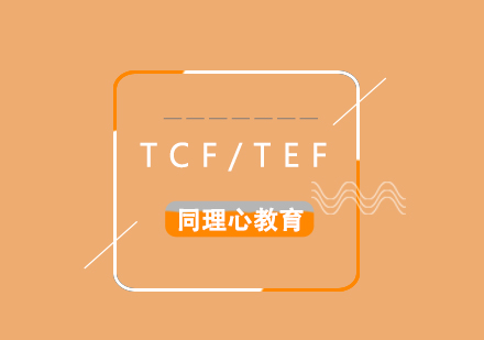 法语考试TCF/TEF辅导班