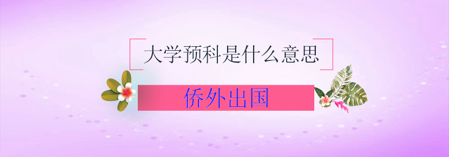 大学预科是什么意思