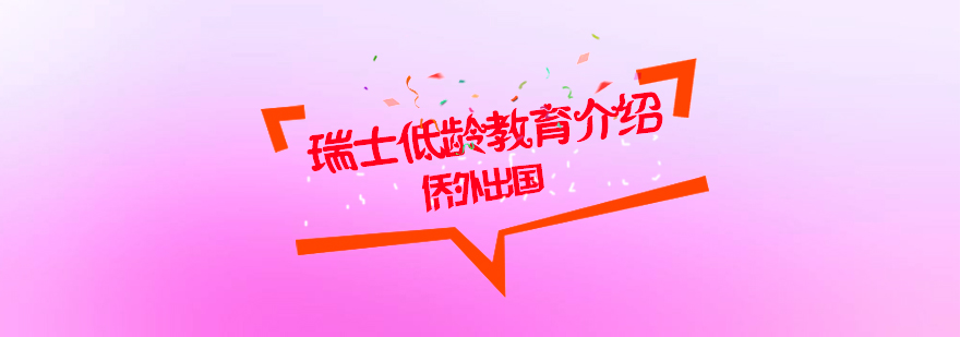 瑞士教育体系示意图