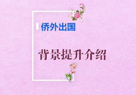 背景提升全解析：留学申请必备的软实力策略