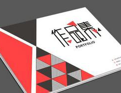VIP-ONE有引力直达计划