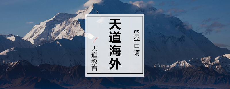天道海外置业服务体系