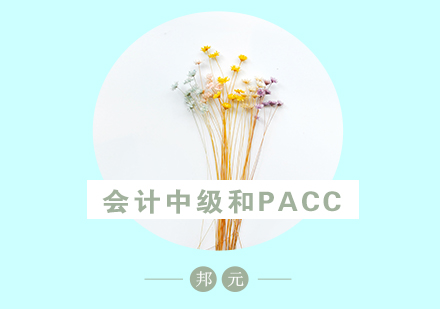 会计中级与MACC职业认证深度解析