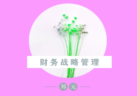 财务战略管理核心要素深度解析