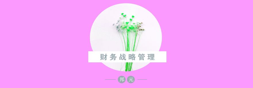战略财务管理要素图解