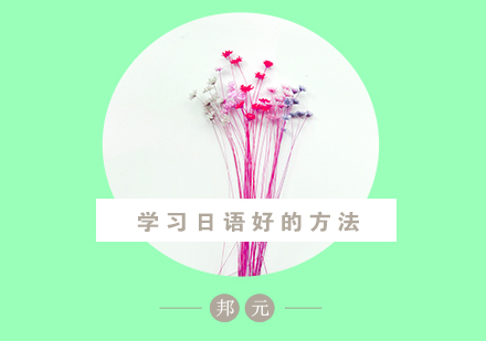 日语高效学习法深度解析