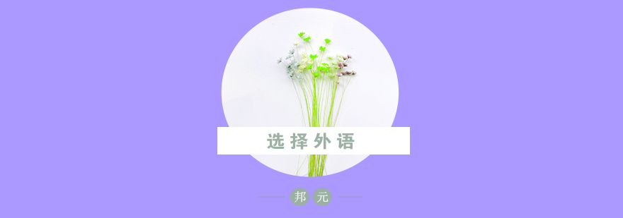 多语言学习图谱