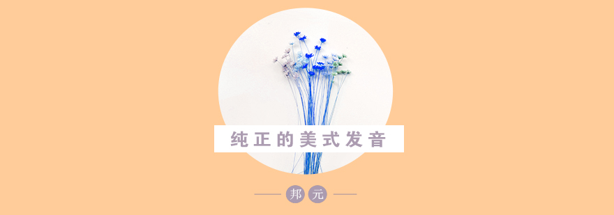 发音器官协调训练示意图