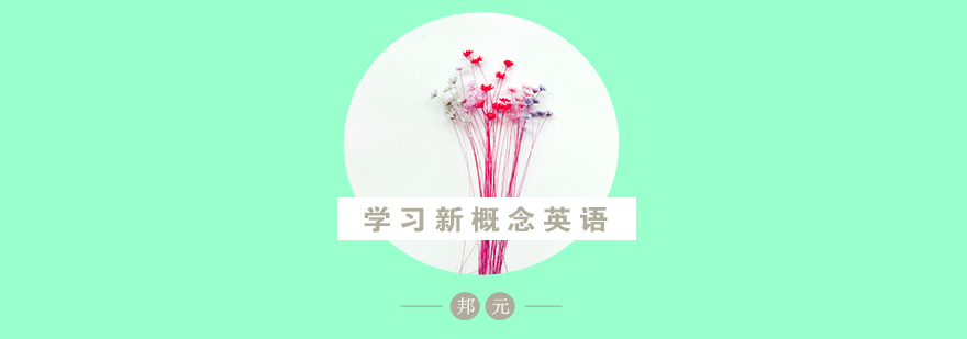 新概念英语教材展示