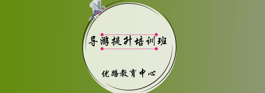 导游证