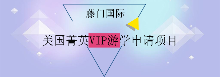 美国菁英VIP游学申请项目