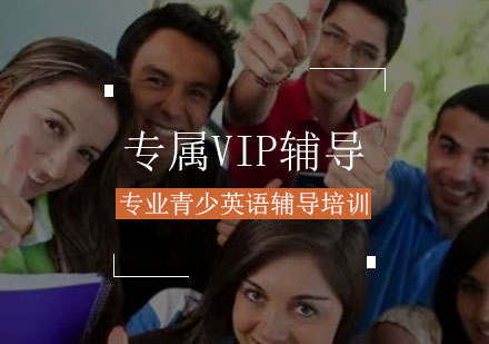 专属VIP辅导课程