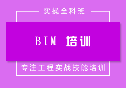 bim培训实操全科班