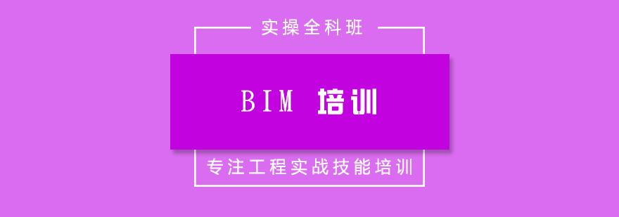 bim培训实操全科班