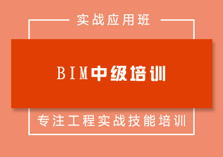 BIM中级培训实战应用班