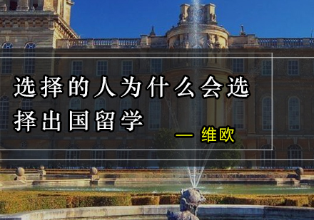 国际教育视野拓展新路径深度解析