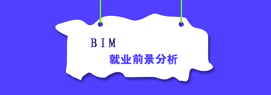 BIM*前景分析