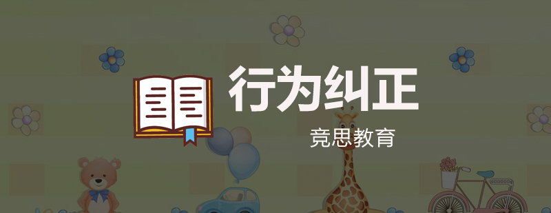行为纠正训练场景