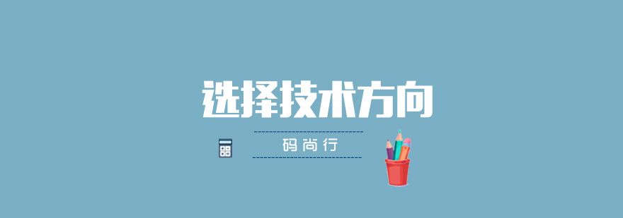 技术决策分析