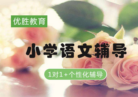 小学语文1对1定制课程