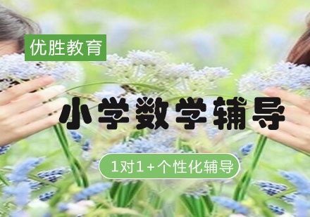 小学数学1对1个性化课程