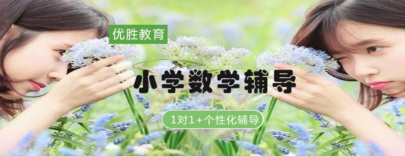 小学数学辅导课堂