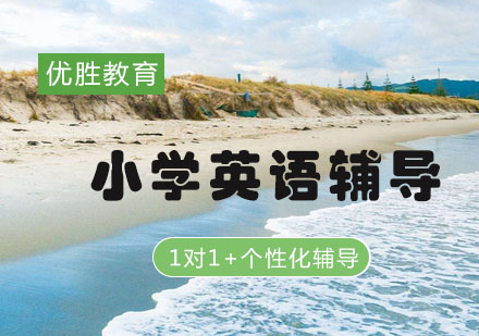 小学英语1对1定制课程