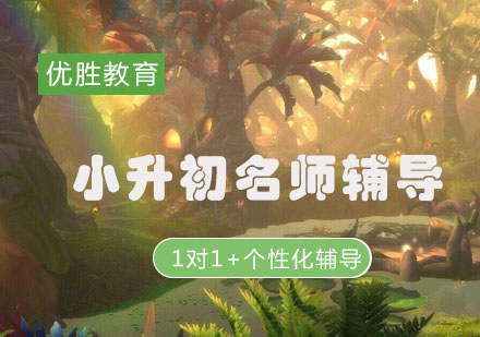 小升初1对1个性化课程