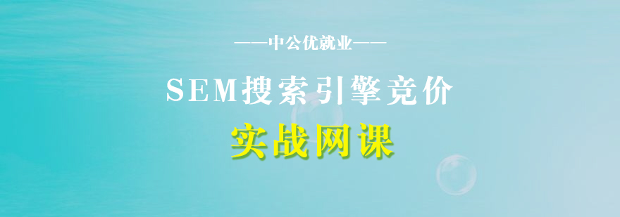 SEM搜索引擎竞价实战网课