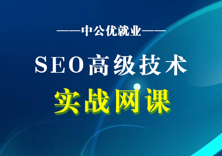 SEO高级技术系统实战在线网课