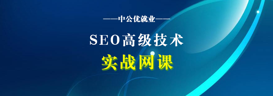 SEO高级技术系统实战在线网课