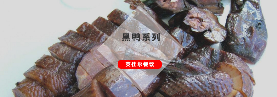 武汉黑鸭技术教学