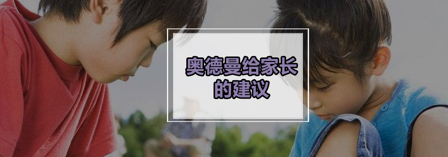 奥德曼夏令营教育场景