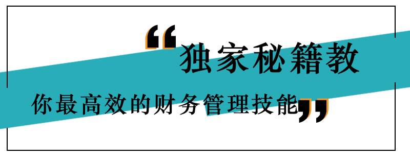 独家秘籍教你最高效的财务管理技能