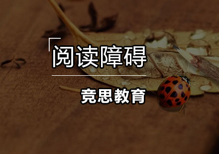 阅读障碍
