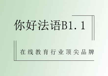 你好法语B1.1