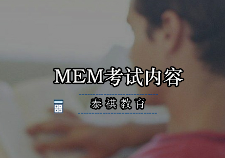 MEM考试核心要点全解析