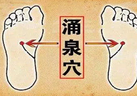 中医养生穴位精要：五大黄金穴位深度解析
