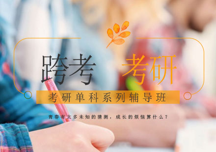 考研单科系列辅导班