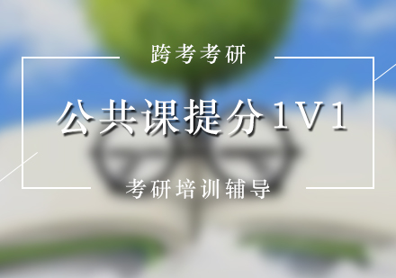 考研輔導公共課VIP1對1提分班（教輔）