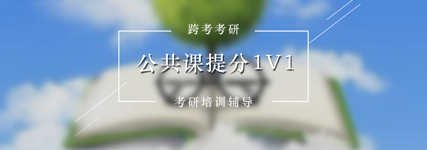 考研辅导公共课VIP1对1提分班教辅