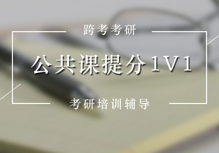 考研VIP公共课1对1提分班（教研）