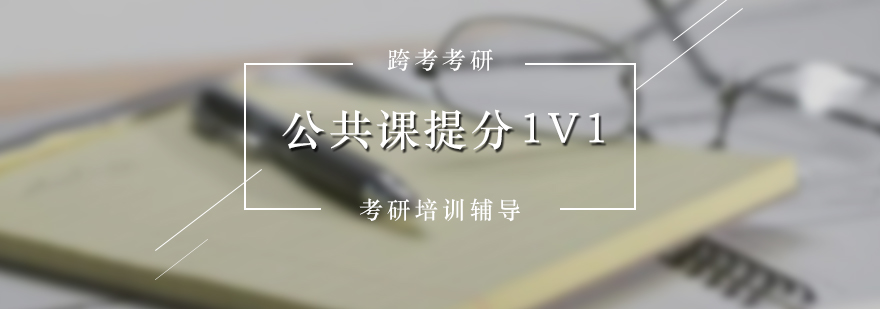 考研VIP公共课1对1提分班教研