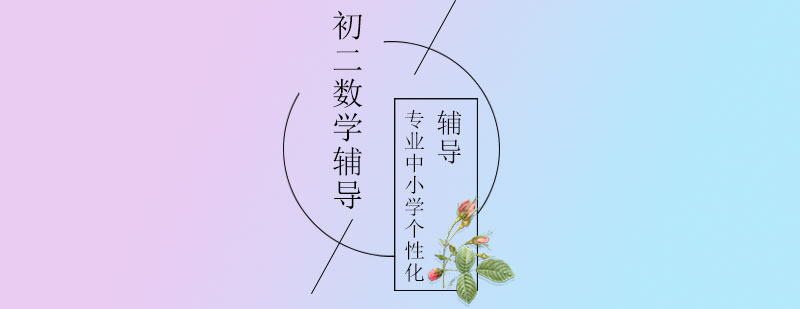 初二数学辅导