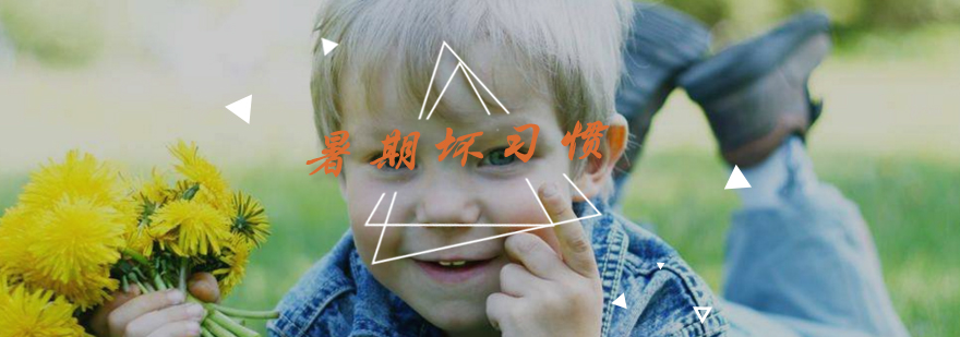 暑期习惯调整示意图